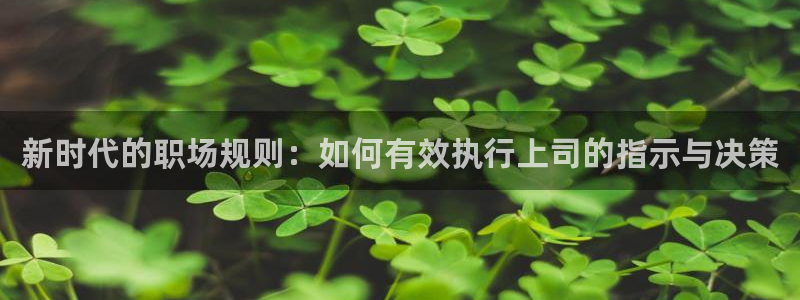 香蕉文化漫画官网：新时代的职场规则：如何有效执行上司的指示与决策