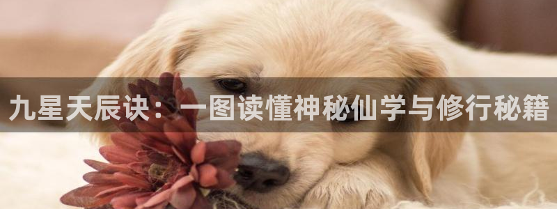香蕉漫画官网入口：九星天辰诀：一图读懂神秘仙学与修行秘籍