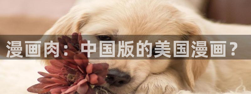 香蕉漫画免费：漫画肉：中国版的美国漫画？
