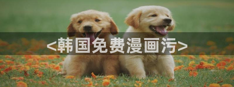 香蕉文化漫画免费浏览入口在哪：<韩国免费漫画污>