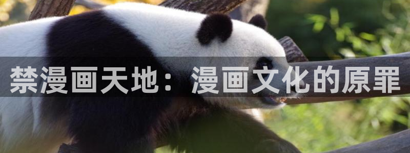 香蕉漫画小说下拉式小说：禁漫画天地：漫画文化的原罪