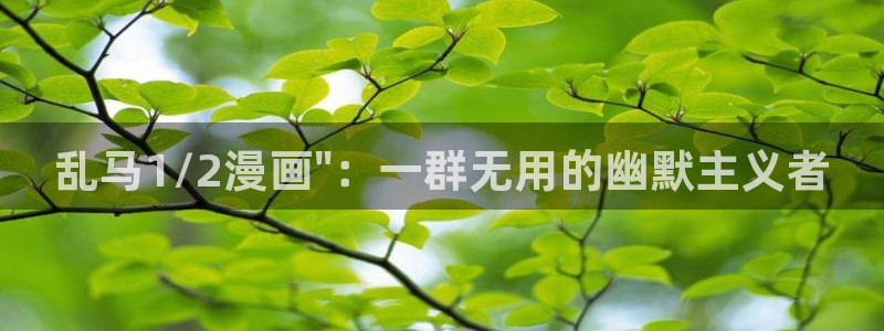 香蕉漫画小说下拉式阅读：乱马1/2漫画\