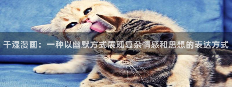 香蕉漫画免费下载：干湿漫画：一种以幽默方式展现复杂情感和思想的表达方式