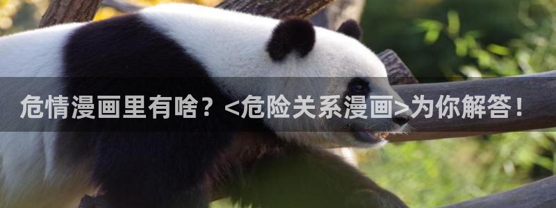 香蕉文化 漫画小说：危情漫画里有啥？<危险关系漫画>为你解答！