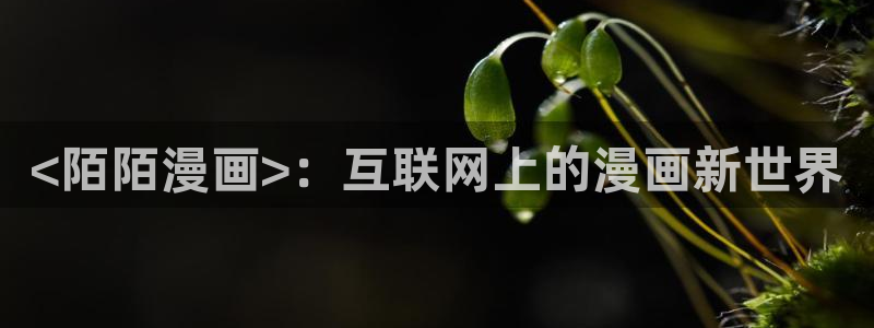 香蕉文化漫画免费版：<陌陌漫画>：互联网上的漫画新世界