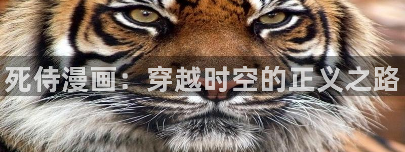 香蕉漫画入口：死侍漫画：穿越时空的正义之路